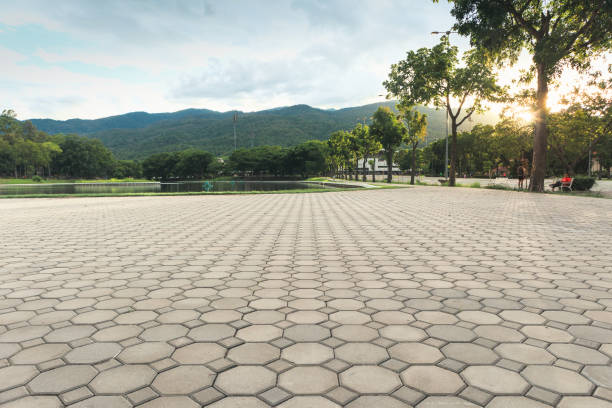 Best Professional Driveway Pavers  in Stoneville, NC